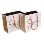 Gloss Lamination 300g Paper Shopping Bag With Handle