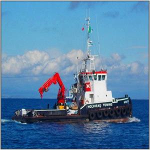 Quality Hydraulic Pedestal Offshore Ship Jib Marine Crane Marine Ship Crane wholesale
