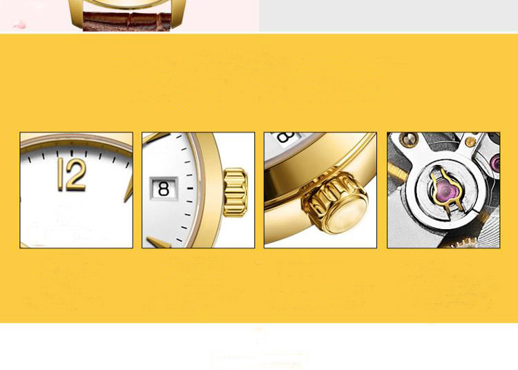 IP Gold Stainless Steel Automatic Watch With Transparent Back Screw SS Crown