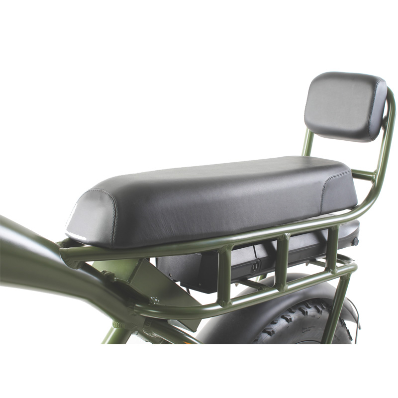 DOMANCA 2024 Vintage Off-road E Bike with Max Speed of 30-50Km/h and Range of 31-60 km