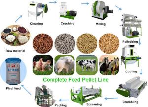 China 1-10 TPH Livestock Poultry Feed Production Line Animal Feed Processing Machine on sale
