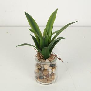 Quality Mini Artificial Agave Bonsai With Glass Pot wholesale