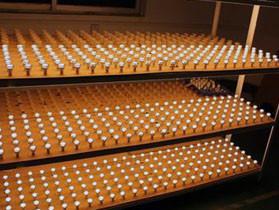 Starry Led Light Tech - KooSion Industrial Co., Limited