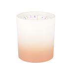 Private Label Glass Jar Scented Candle Matte Glass Jar Soy Wax Scented Candle