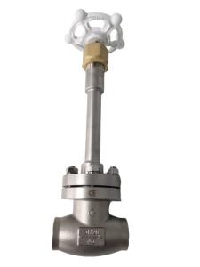 Quality DN65 SS304/316 Cryogenic Socket Weld Globe Valve wholesale