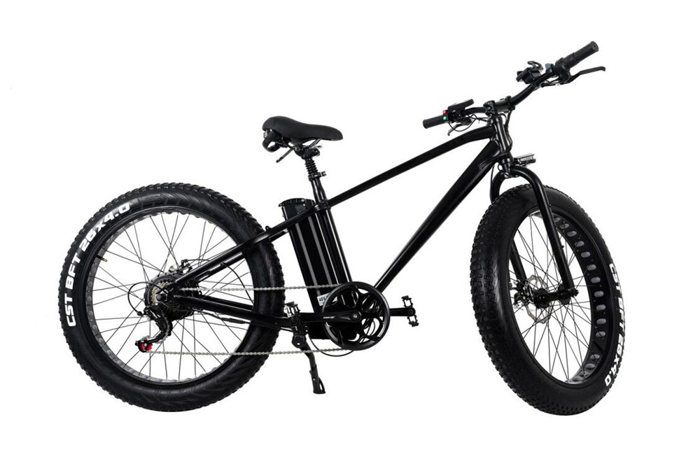 48V 15AH Electric Mountain Bike with 750W Motor and Non-Foldable Aluminum Alloy Frame