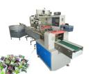 Hige Speed Snack Packaging Machine