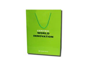 Quality Green Colors Custom Printing Paper Bags With Recycled Paper Bag OPP Rope Handle wholesale