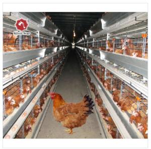 Quality 9 Tiers Q235 Battery Egg Layer Cages Poultry Field Chicken Breeding Cage wholesale