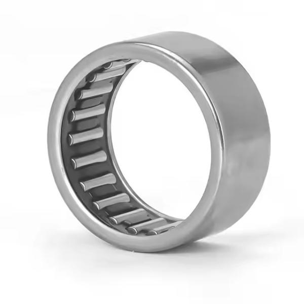 High Quality Needle Bearing HK3020 Full Complementary Clutch Needle Bearing