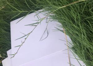 Quality Photo Mounting Foam Core Poster Board , 10mm Foam Board 0.3g / Cm3 Density wholesale
