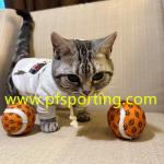 pet toys wholesale dog tennis ball