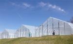 Drawing Shine Tech Single Span Tunnel Agricultural Greenhouses
