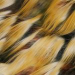 160cm 30-55mm JACQUARD Faux Fur Fabric for Garments 500meters Plush Printed 100%