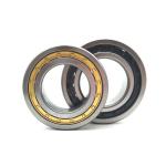 Original Flag Germany Cylindrical Roller Bearing N Nu Nup Nj2316