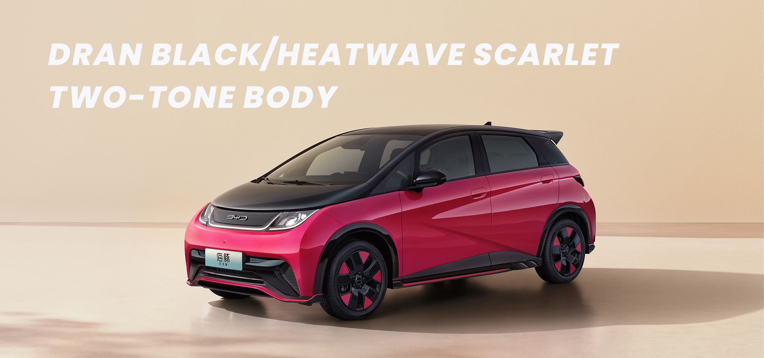420km BYD Dolphin Electric Hybrid Cars EV Sedans 2025