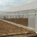 Poly Film Arch Tunnel Agriculture Vegetable Plastic Film Greenhouse Commercial