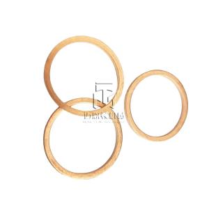 Quality Sealing Ring 01118760 0111 8760 1118760 for deutz 912 913 wholesale