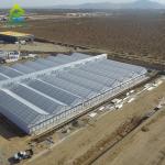 Polycarbonate Sheet Cover Light Deprivation Greenhouse For Commercial Growing
