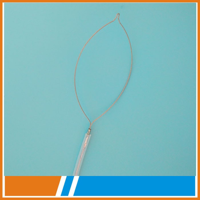 Cold snare polypectomy and hot snare polypectomy