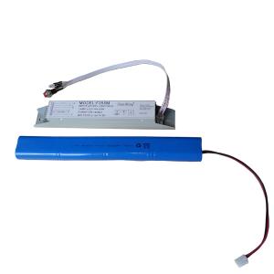 Quality Battery Operated Non Maintained Emergency Light Power Supply 220V-240V 50/60Hz wholesale