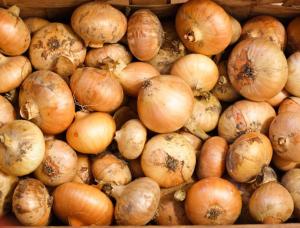 Quality Brain Refreshing Natural Spicy Yellow Spring Onions wholesale