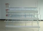 Battery Chicken Farm Poultry Equipment With Auto Chicken Feeding System