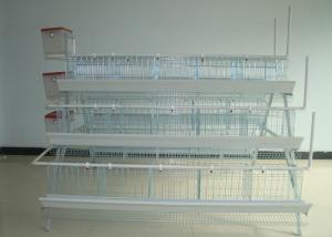 Quality Battery Chicken Farm Poultry Equipment With Auto Chicken Feeding System wholesale