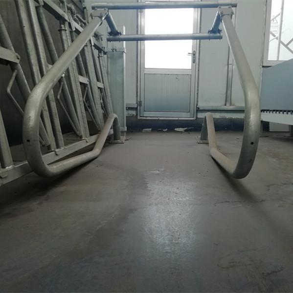 Steel Material Dairy Cow Stalls Cow Farm Equipment Customized Length Silver