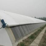 Steel Structure/Wall Humidity-Controlled Sunlight Greenhouse for Vegetable