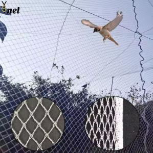 Quality Agricultural Bird Prevention Netting 5m - 1000m Knitted Bird Netting wholesale