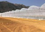 Agriculture Polytunnel Greenhouse