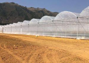 Quality Agriculture Polytunnel Greenhouse wholesale