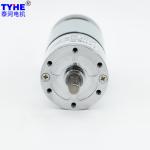 Low Rpm 12V DC Gear Motor 200 Rpm 6mm Shaft Rotisserie Gear Motor