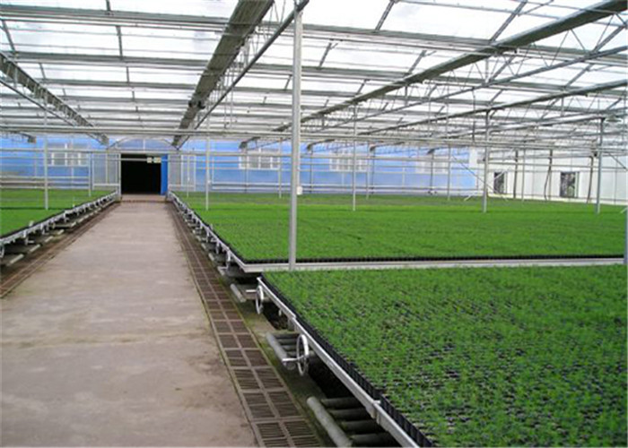 Seedbed System Greenhouse Rolling Benches For Multi Span Agricultural Greenhouse
