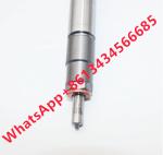 0445110317 Diesel Truck Common Rail Fuel Injector 0445110482 For MianYang