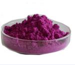Food Ingredients Fruit Extract Red Pitaya Extract Powder