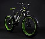 48v 500W 1000w MTB Electric fat Bikes