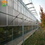 Multi-Span Agricultural Greenhouses with Hot Galvanized Steel Transparent Solar