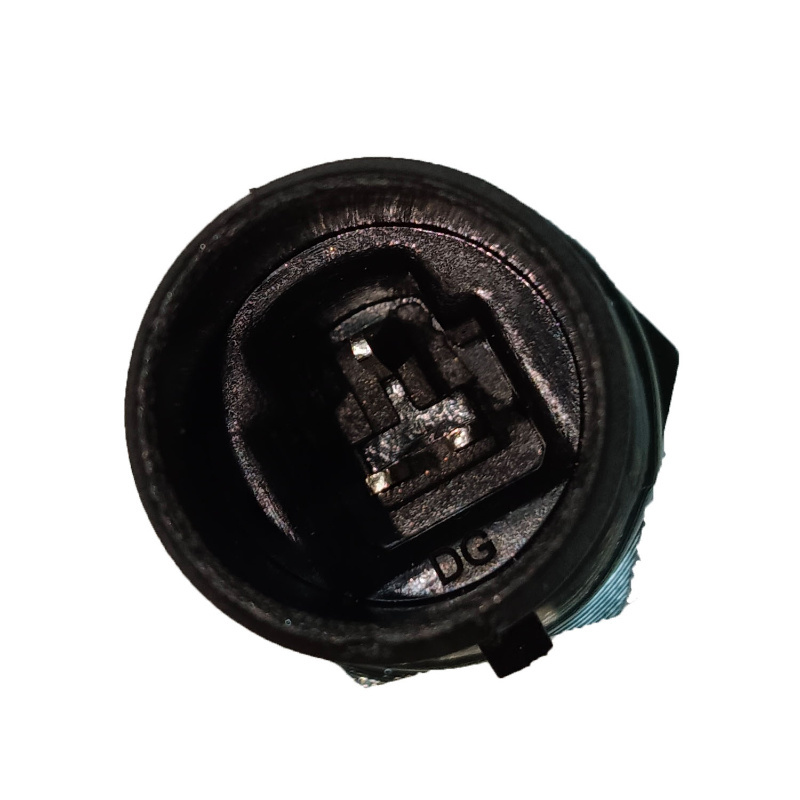 Sinotruk HOWO Truck Part Engine Oil Pressure Sensor Vg1092090311