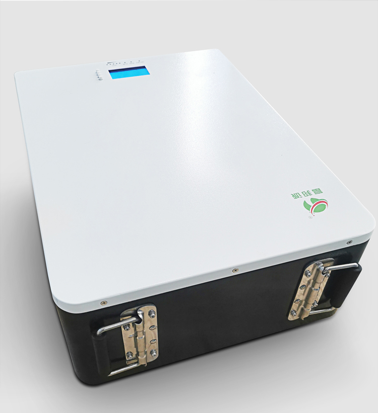 100ah Solar Wall Battery Photovoltaic Cell 48 Volt Lifepo4 Battery