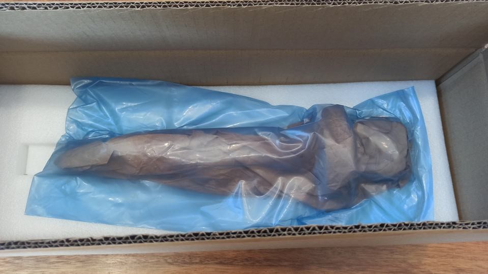 4964170 Common Rail Fuel injector Assy QSK19 QSM11 For Excavator