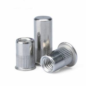 Quality Stainless Steel 304 Split Rivet Nut M10 Diameter Flat Head wholesale