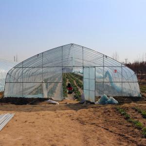 Quality Agriculture Farming Growing Tunnel Plastic Film Greenhouse For Pepper Growing wholesale
