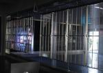 4500nit 1920Hz 250x250mm Transparent LED Film Display
