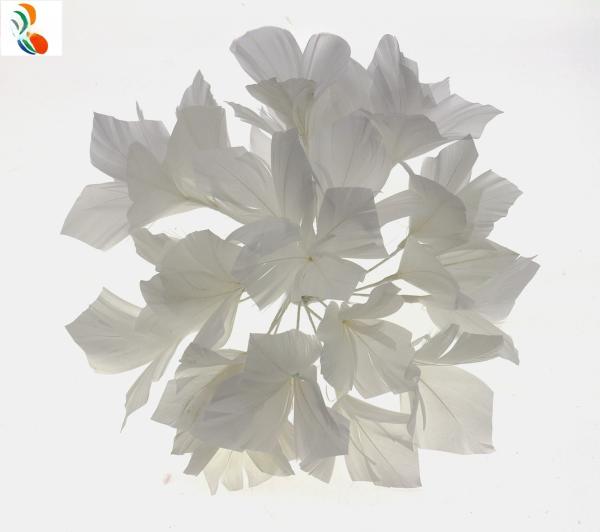 Shipping via Fedex Party Decoration Stripped Goose Feather Flower Mount with