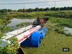 3000m2 Reed Aquatic Weed Harvester Water Hyacinth Harvester Machine