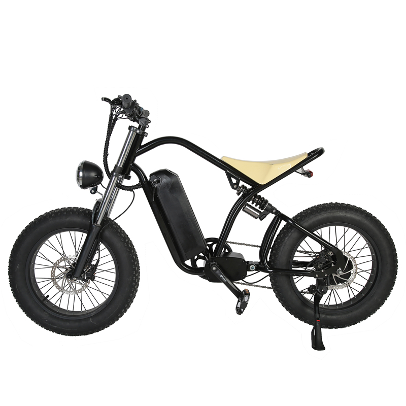 Disc Brake 2023 Style 20" Fat Tire Electric Enduro E-Bike for Off Road MTB Bicycle