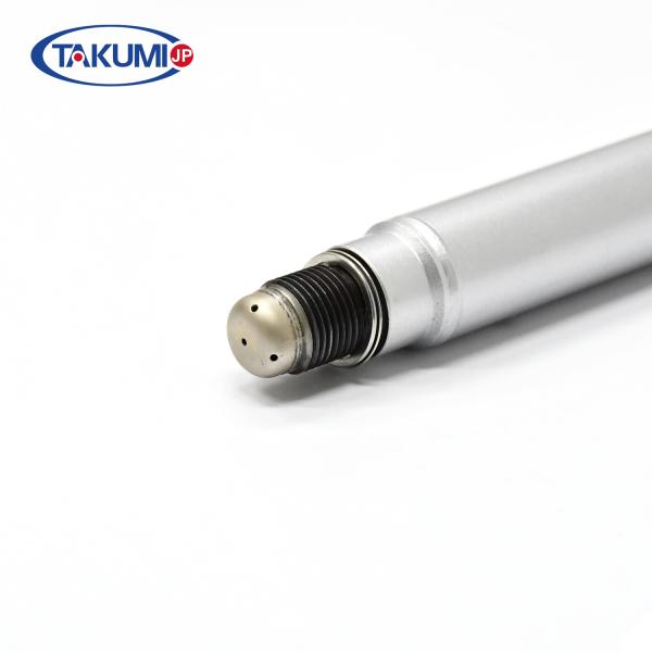 Prechamber Spark Plug 12453548 12453564 12344098 12343758 12342376 12343048