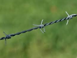Factory Price 2.5mm Anti-climb Galvanized Barbed Wire Farm Outdoor Twisted Iron Barbed Wire For Sale